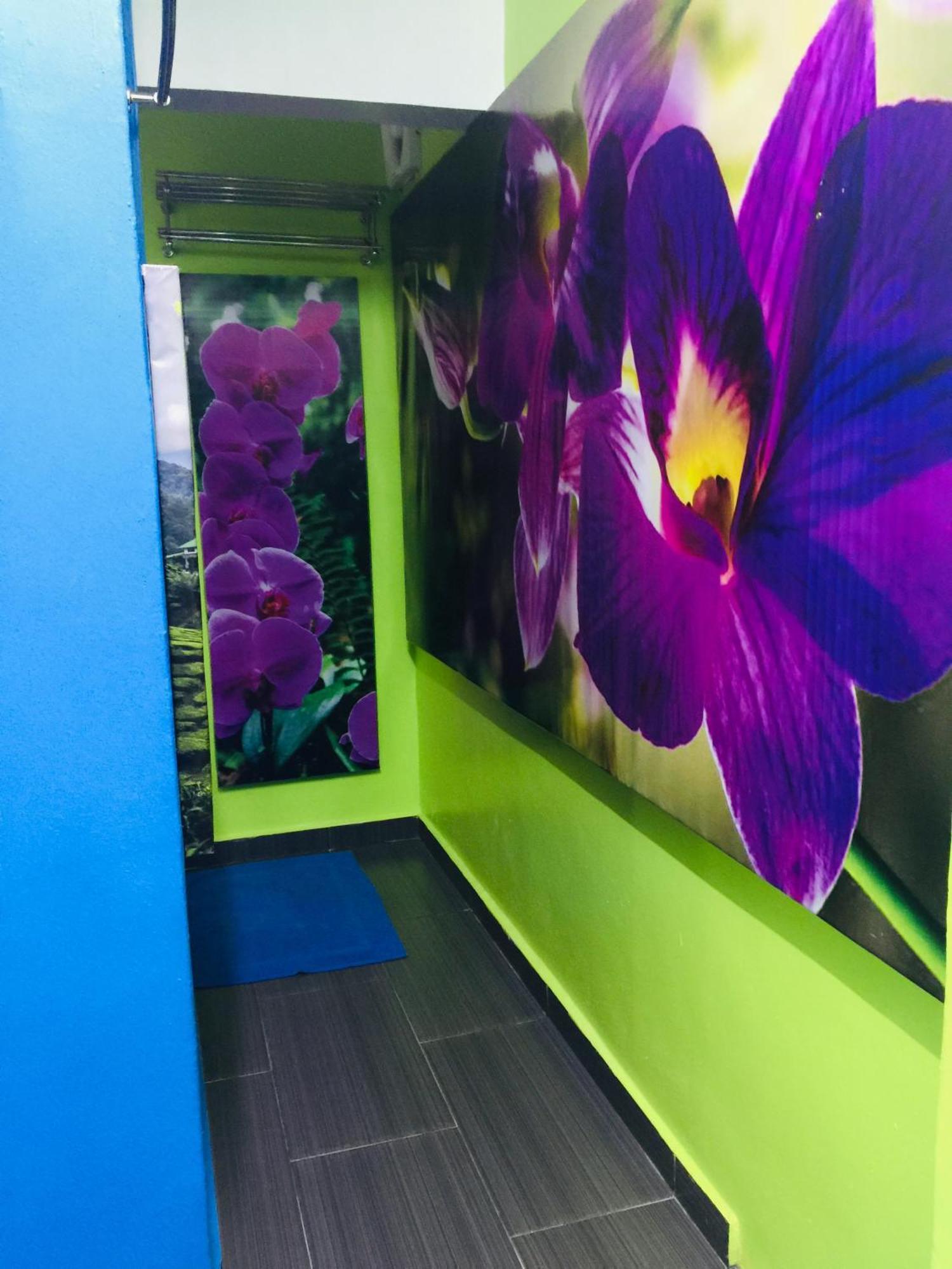 Lily Haven Hotel C-1 Tanah Rata Zewnętrze zdjęcie